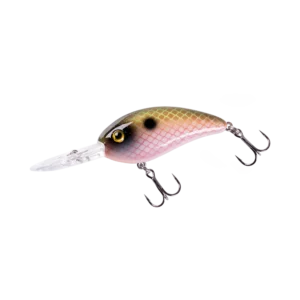 Fat Free Shad Fingerling