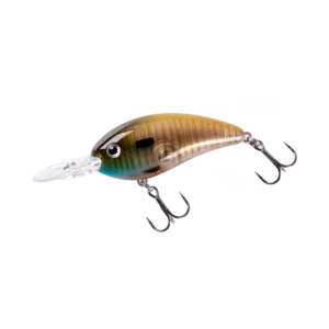 Fat Free Guppy