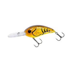 Fat Free Shad